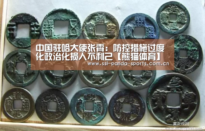 中国驻哈大使张霄:防控措施过度化政治化损人不利己【熊猫体育】(图1) 熊猫体育app