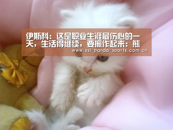 熊猫体育平台